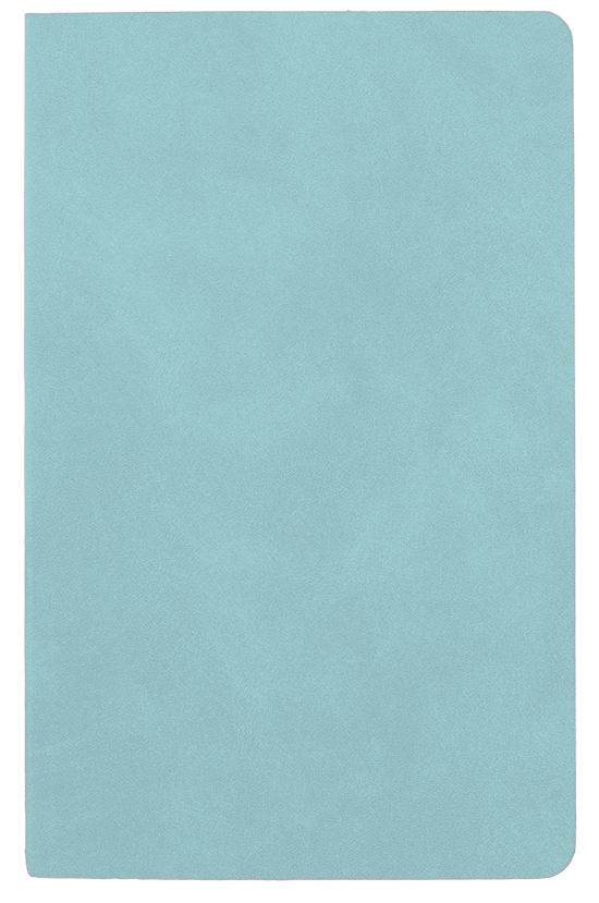 Agenda nedatata Pastel [5]