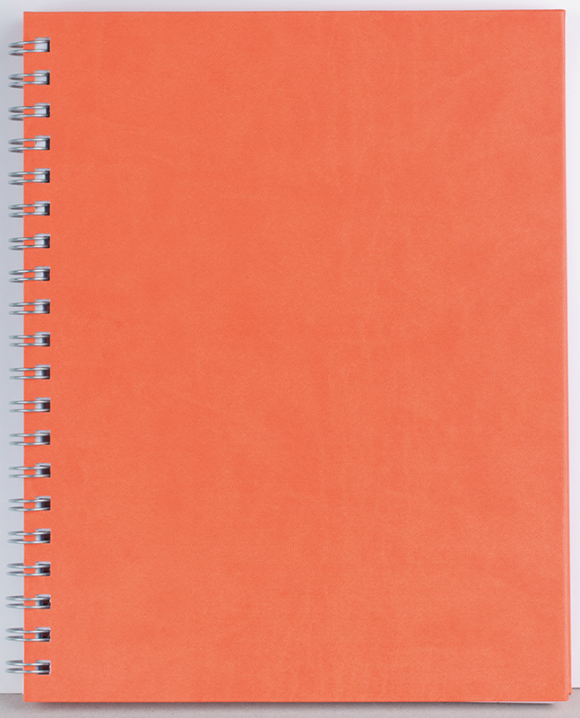 Agenda nedatata Premier [3]