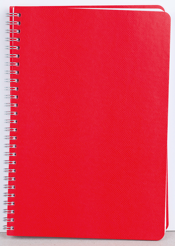 Agenda nedatata Riga [5]