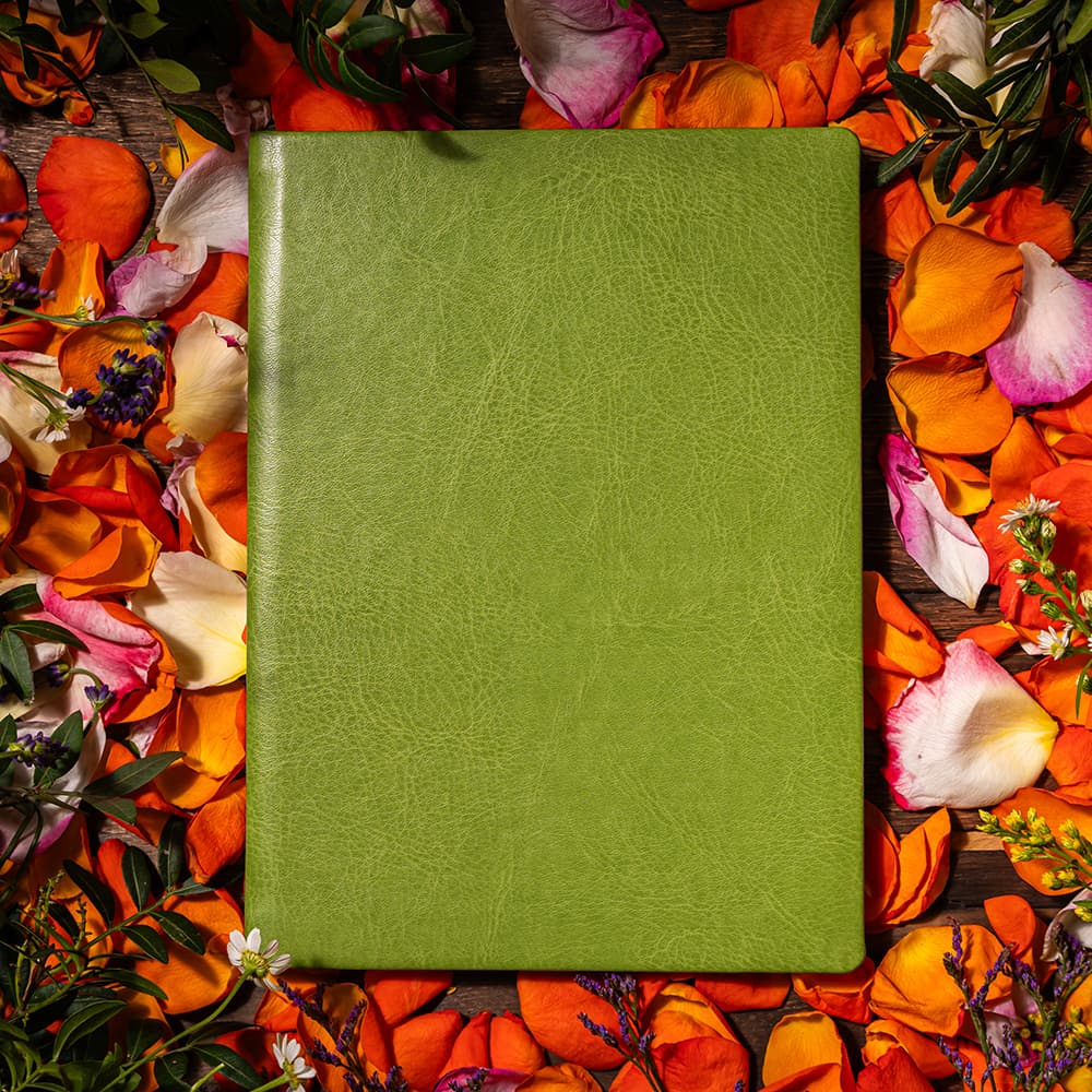 Agenda nedatata Zen [8]