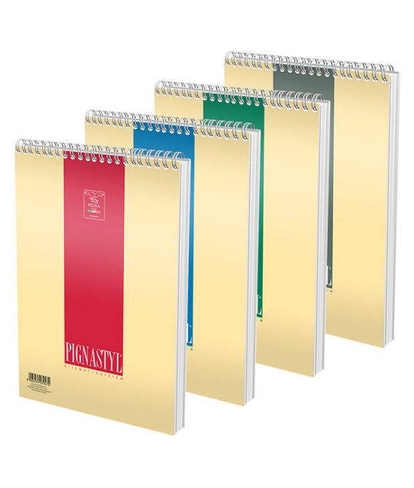 BLOC NOTES SPIRA A4 60F DR STYLE PIGNA [1]