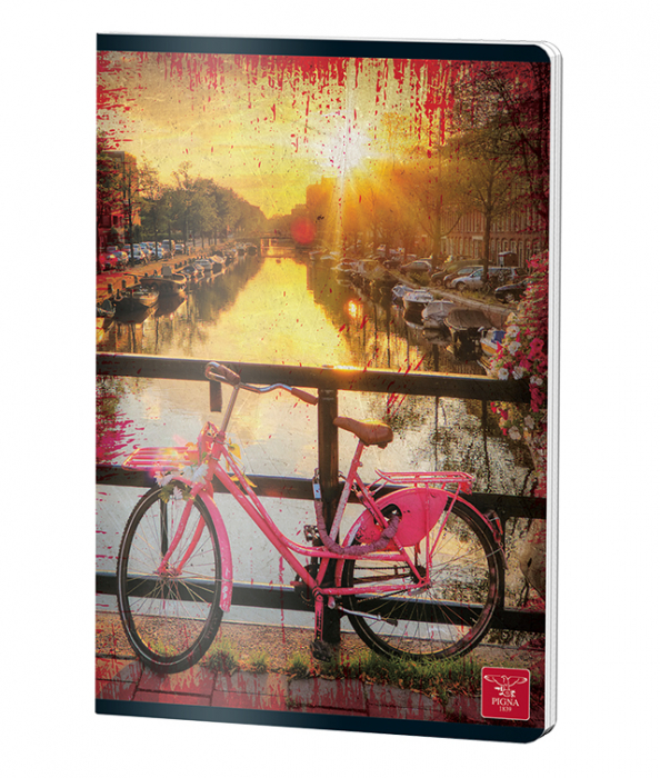 CAIET A4 100 FILE DICTANDO COLOR 230G PIGNA [2]