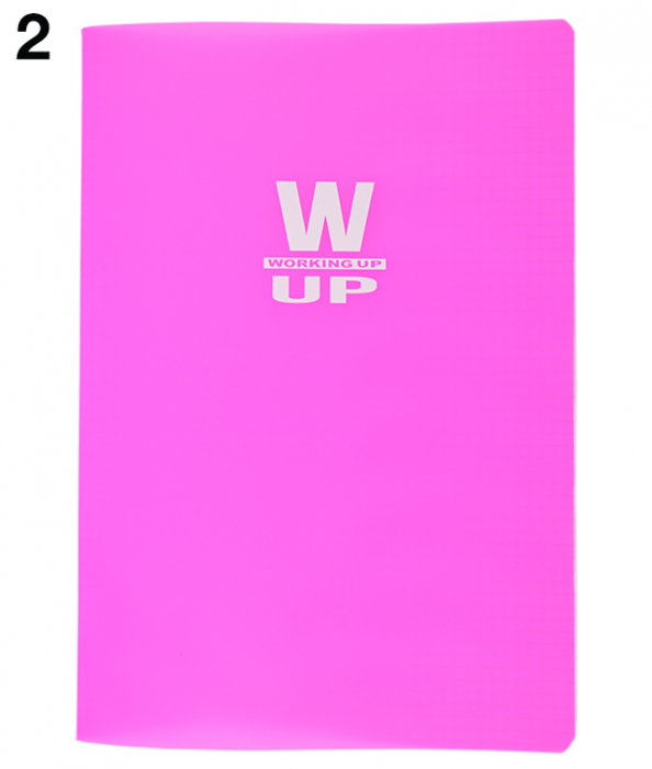 CAIET A4 60 FILE ARITMETICA COPERTA PP 230 ASORTATE WORKING UP PIGNA [3]