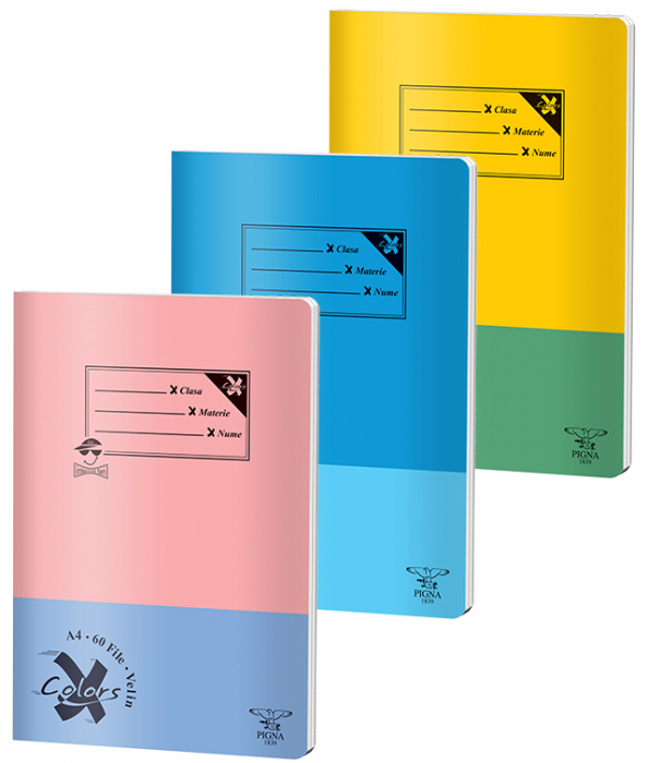 CAIET A4 60 FILE VELIN BASIC PIGNA [1]