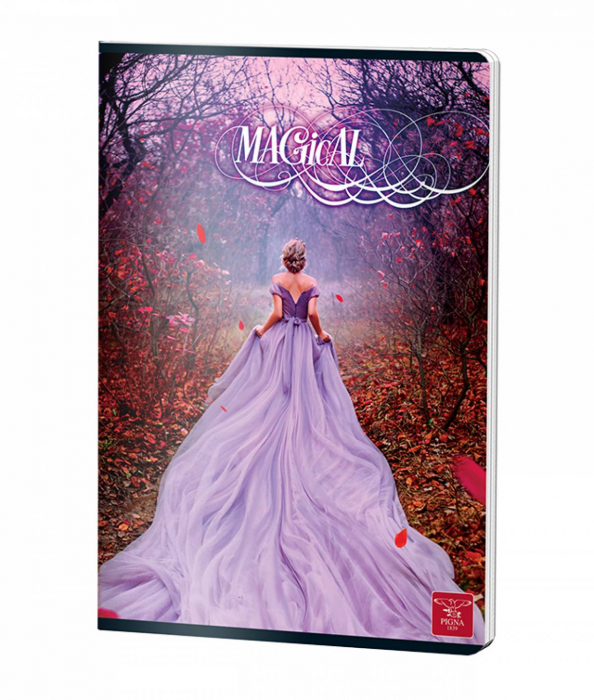 CAIET A4 60 FILE VELIN COLOR PIGNA [4]