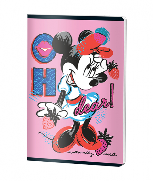 CAIET A5 48 FILE DICTANDO MINNIE PIGNA [2]