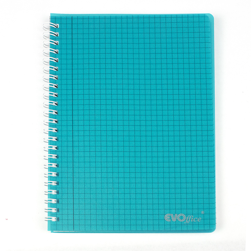Caiet A5 cu spira metalica, microperforatii si coperti plastic, 100 file - matematica  [1]