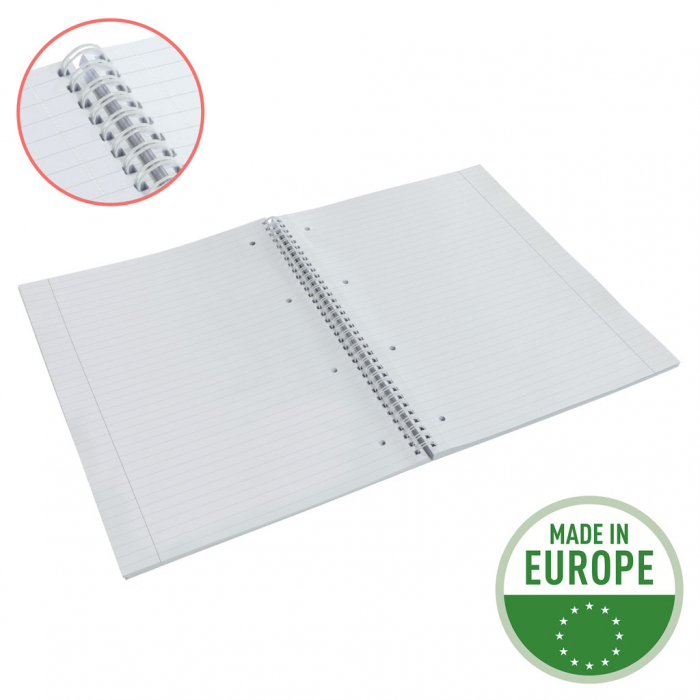 CAIET BIROU SPIRA A4 80 FILE DICTANDO ALBASTRU COPERTA CARTON COLOUR'BREEZE ESSELTE [4]