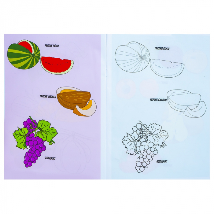 Caiet Pentru Colorat A4, 8 file, Katy Paper [3]