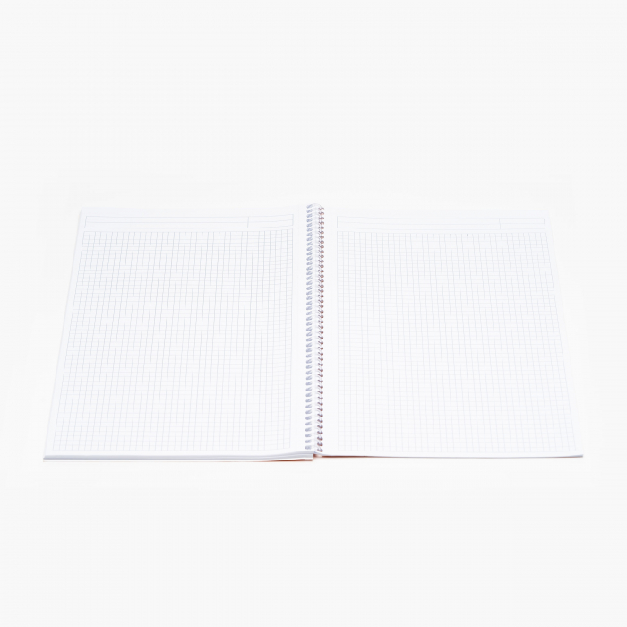 CAIET SPIRA A4 60 FILE ARITMETICA SCHOOL NOTTE [2]