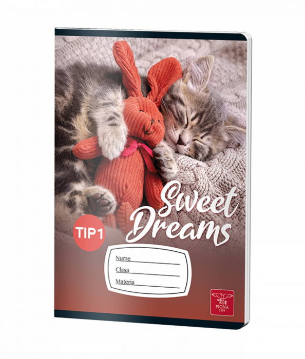 CAIET TIP I 24 FILE COLOR PIGNA [2]