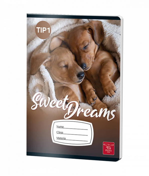 CAIET TIP I 24 FILE COLOR PIGNA [3]