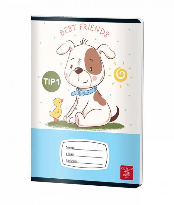 CAIET TIP I 24 FILE COLOR PIGNA [4]