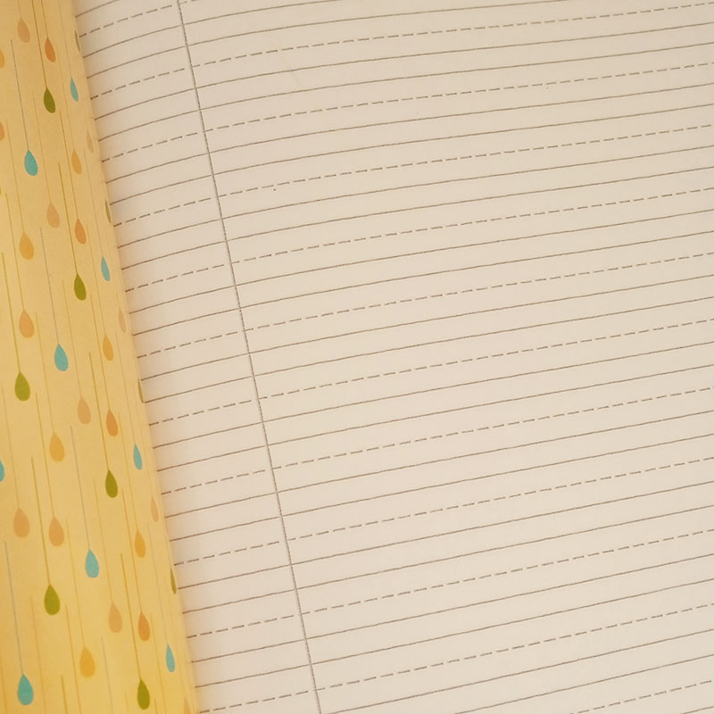Caiet tip II, A5, 24 file My School [2]