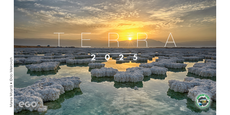 Calendar de birou COLECTIE ALTERNATIVA* , CA [15]