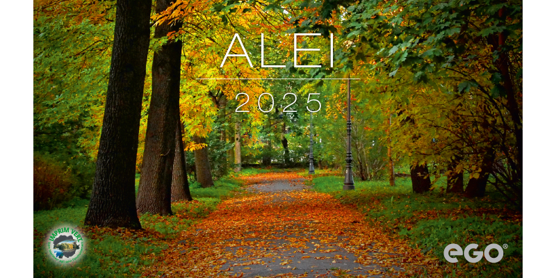 Calendar de birou COLECTIE ALTERNATIVA* , CA [2]