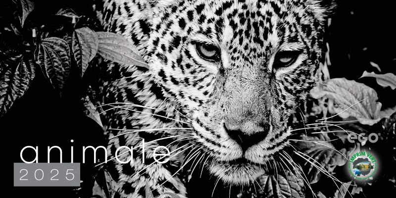 Calendar de birou COLECTIE ALTERNATIVA* , CA [3]