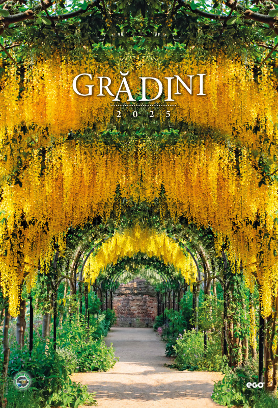 Calendar de perete COLECTIE ALTERNATIVA* , CA [6]