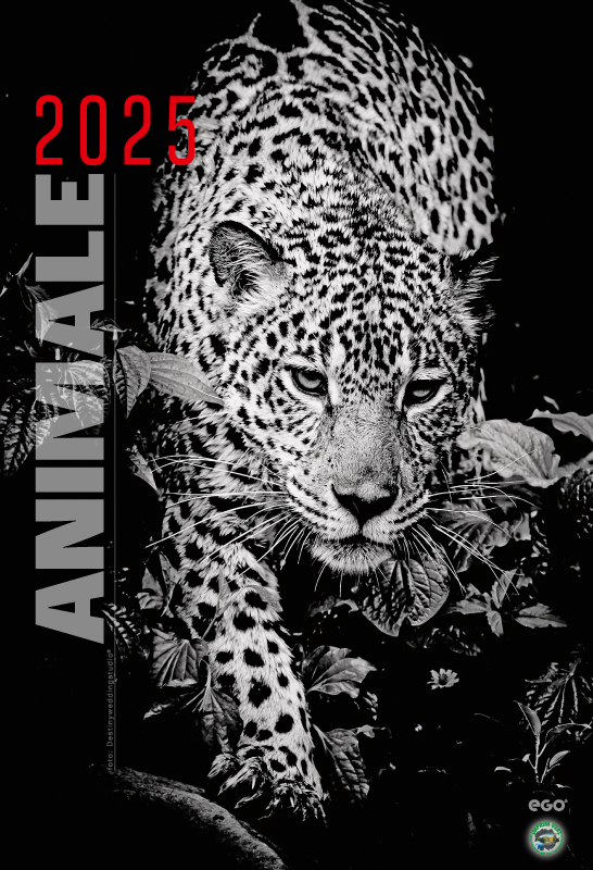 Calendar de perete COLECTIE ALTERNATIVA* , CA [4]