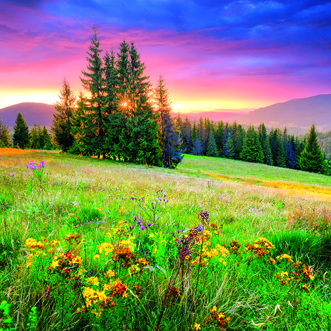 Calendar de perete Landscapes, CT [7]