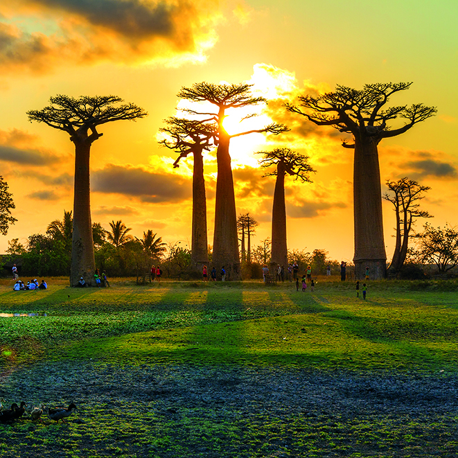 Calendar de perete Landscapes, CT [10]