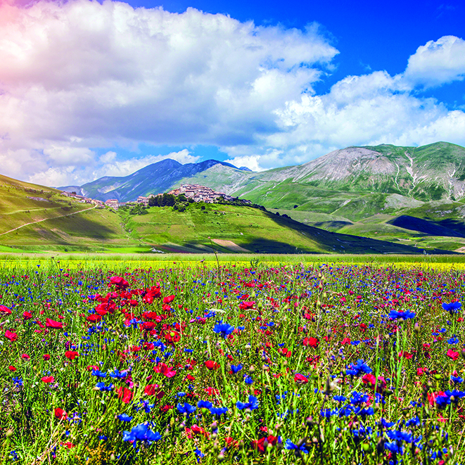 Calendar de perete Landscapes, CT [7]