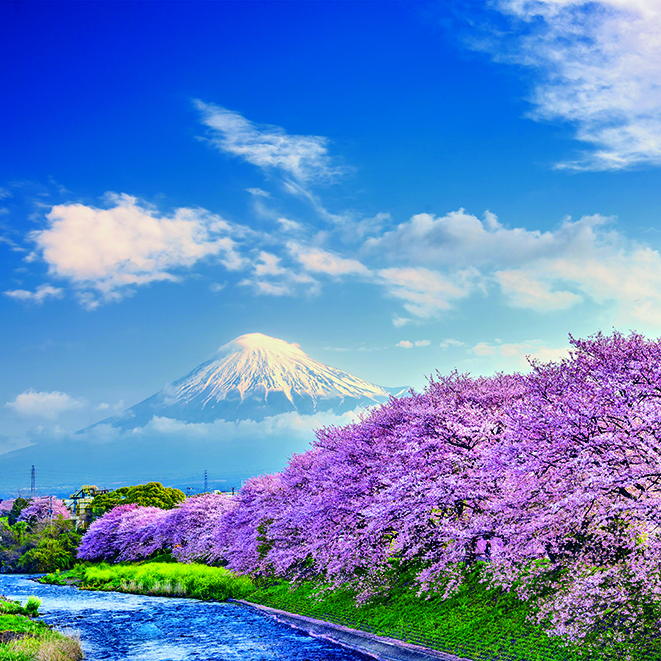 Calendar de perete Landscapes, CT [6]