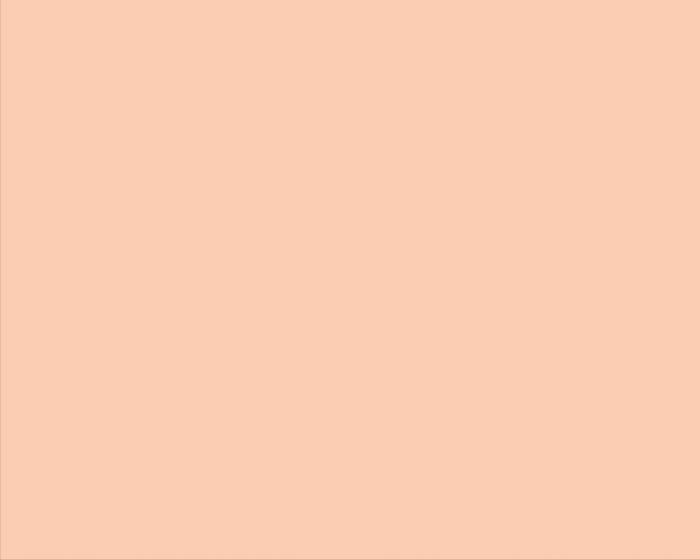 CARTON COPIATOR A4 SALMON PAL 160G 250/TOP SA24 NIVEUS [2]