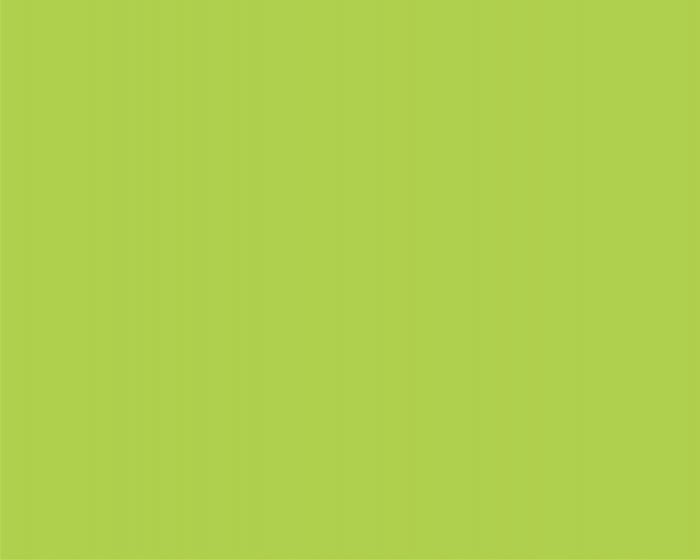 CARTON COPIATOR A4 VERDE LIME INTENS 160G 250/TOP LG46 NIVEUS [2]