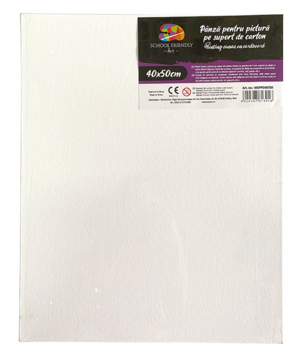 CARTON PANZAT 3 MM 40 x 50 CM SF ART PIGNA [1]
