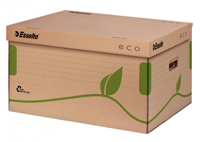CONTAINER DE ARHIVARE ECO CU CAPAC PENTRU CUTII 80/100 ESSELTE [1]
