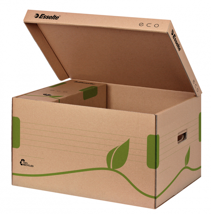 CONTAINER DE ARHIVARE ECO CU CAPAC PENTRU CUTII 80/100 ESSELTE [2]