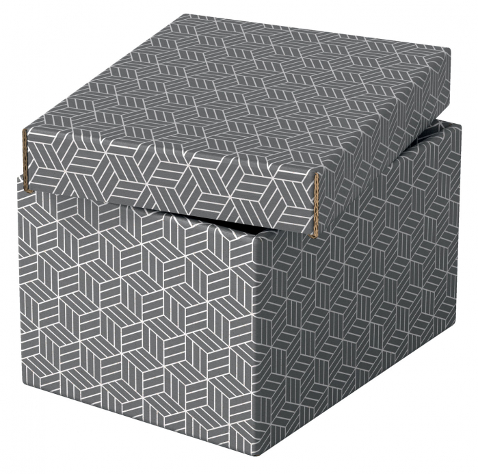 CUTIE DEPOZITARE CU CAPAC 25 x 20 x 15 CM GRI RECICLAT ESSELTE [4]