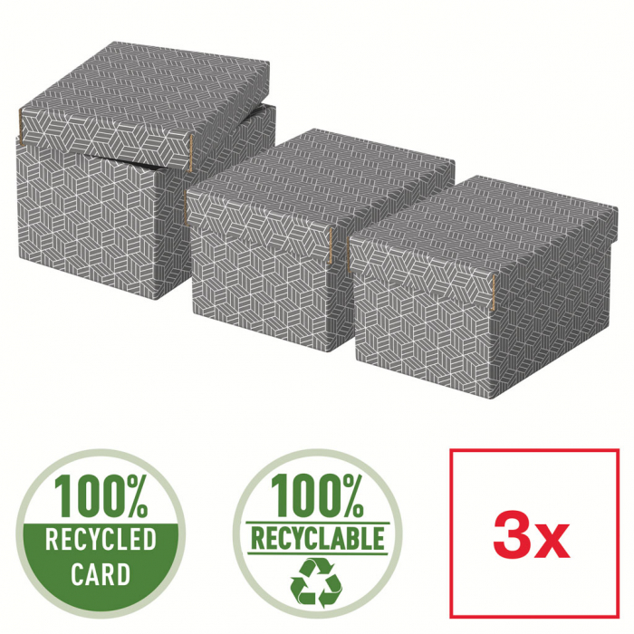 CUTIE DEPOZITARE CU CAPAC 25 x 20 x 15 CM GRI RECICLAT ESSELTE [3]