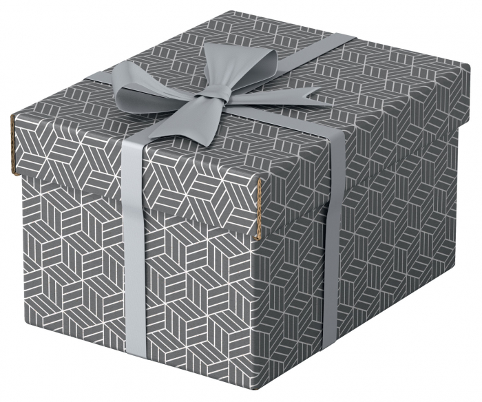 CUTIE DEPOZITARE CU CAPAC 25 x 20 x 15 CM GRI RECICLAT ESSELTE [1]
