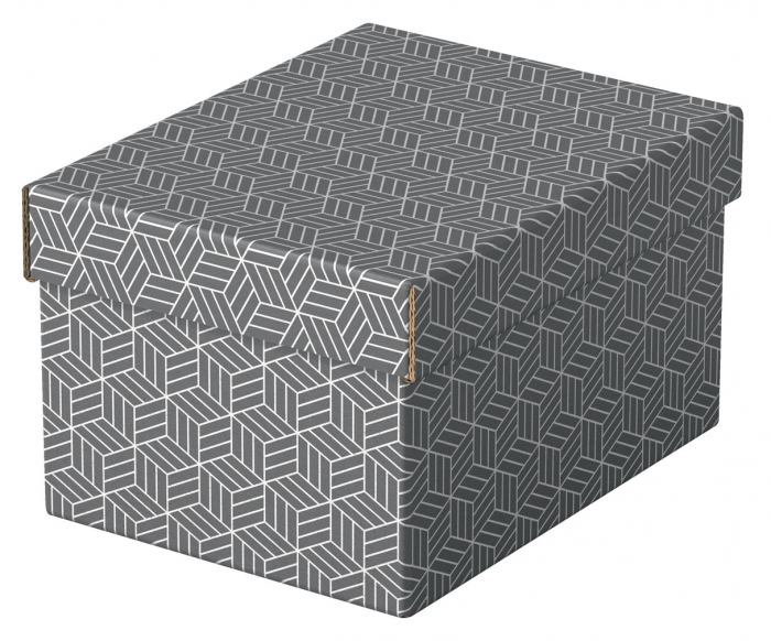 CUTIE DEPOZITARE CU CAPAC 25 x 20 x 15 CM GRI RECICLAT ESSELTE [2]