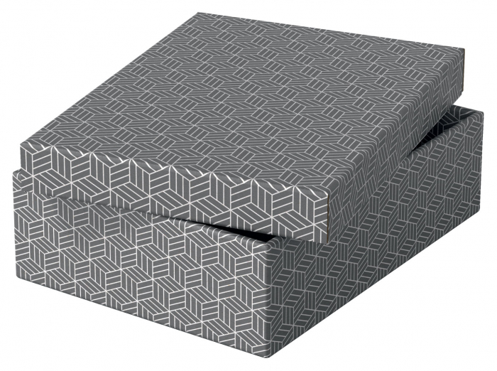 CUTIE DEPOZITARE CU CAPAC 36 x 26 x 10 CM GRI RECICLAT ESSELTE [5]