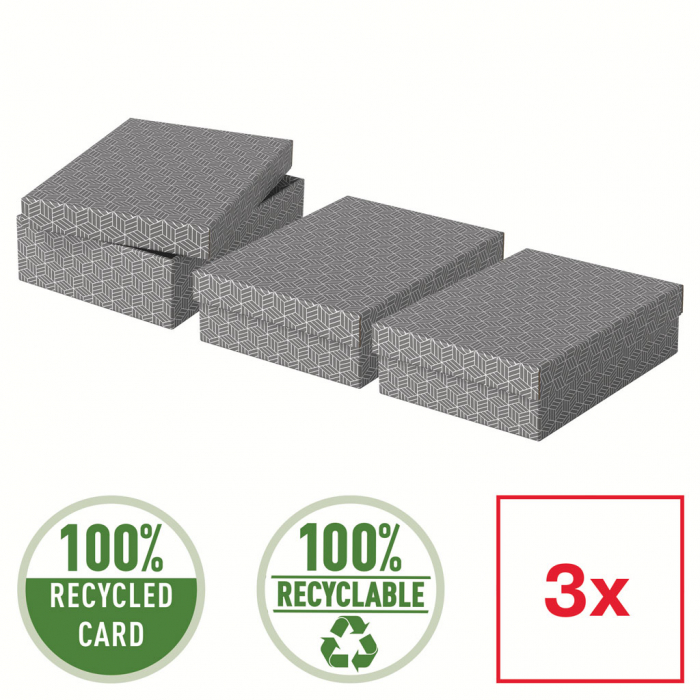 CUTIE DEPOZITARE CU CAPAC 36 x 26 x 10 CM GRI RECICLAT ESSELTE [3]
