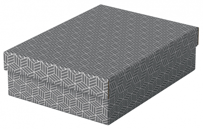 CUTIE DEPOZITARE CU CAPAC 36 x 26 x 10 CM GRI RECICLAT ESSELTE [2]