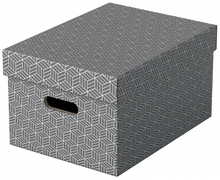 CUTIE DEPOZITARE CU CAPAC 36 x 26 x 20CM GRI RECICLAT FSC 3/SET ESSELTE [1]