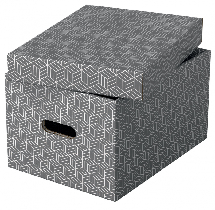 CUTIE DEPOZITARE CU CAPAC 36 x 26 x 20CM GRI RECICLAT FSC 3/SET ESSELTE [4]