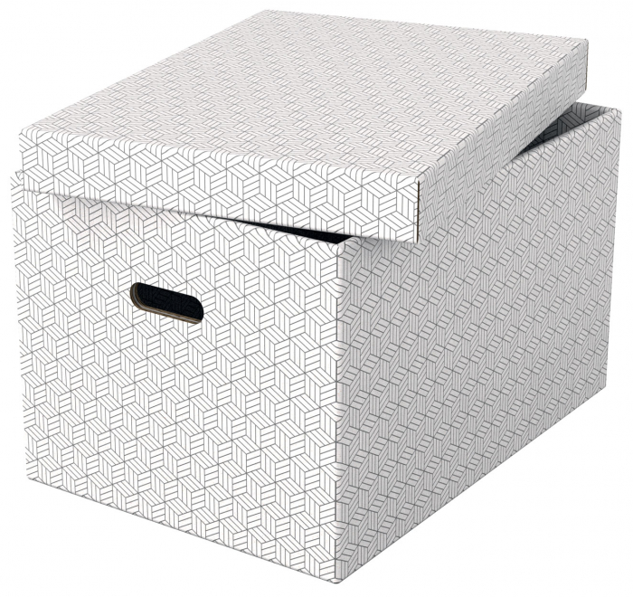 CUTIE DEPOZITARE CU CAPAC 51 x 35 x 30CM ALBA RECYCLED FSC 3/SET ESSELTE [4]