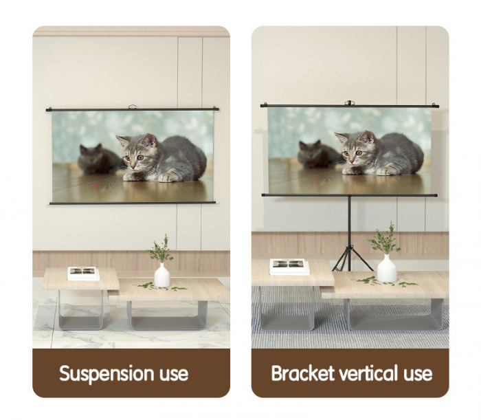 ECRAN PROIECTIE 160 x 92 CM MANUAL PE TREPIED DELI [5]