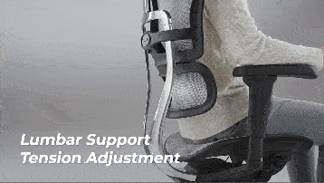 Ergohuman 2 Ultra Black [5]