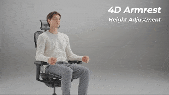 Ergohuman 2 Ultra Black [3]