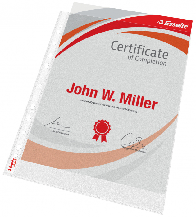 FOLIE PROTECTIE A4 MAXI 25/SET ESSELTE [3]