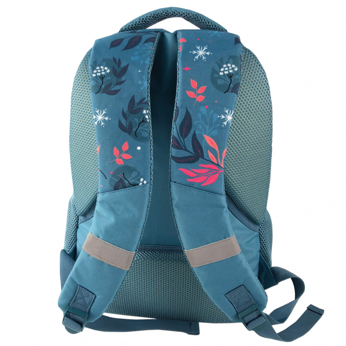 GHIOZDAN CLASELE I-IV FROZEN ABASTRU PAL PIGNA [3]