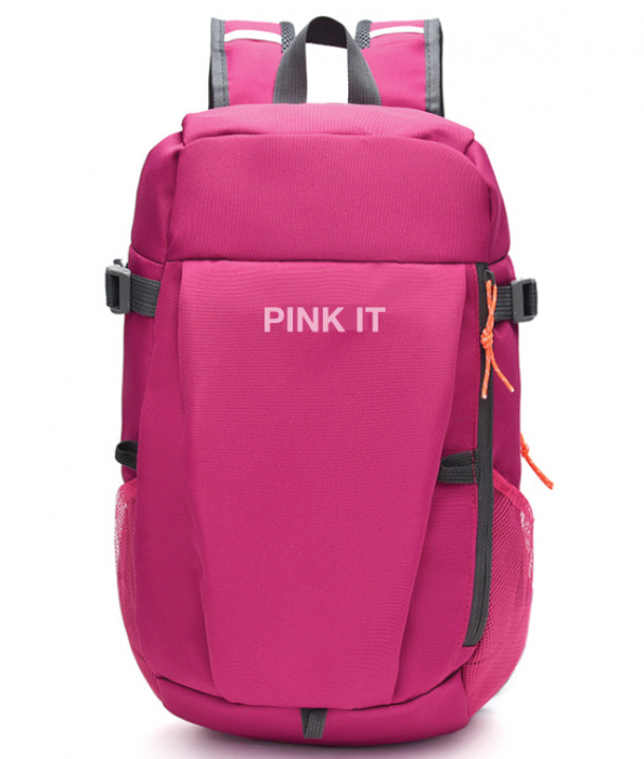 GHIOZDAN GIMNAZIU PINK IT 2 FERMOARE PIGNA [1]