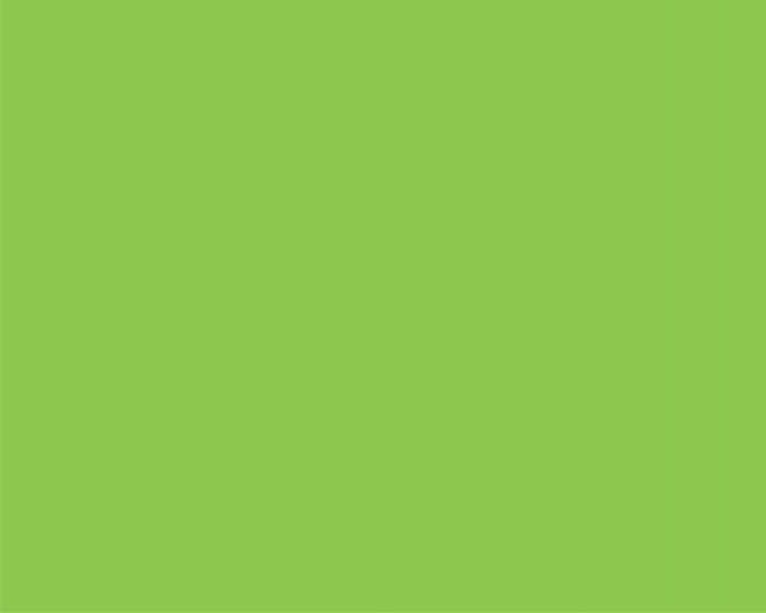HARTIE COPIATOR A4 VERDE INTENS 80G 500/TOP MA42 NIVEUS [2]