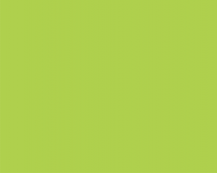 HARTIE COPIATOR A4 VERDE LIME INTENS 80G 500/TOP LG46 NIVEUS [2]